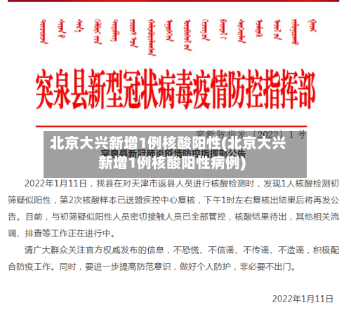 北京大兴新增1例核酸阳性(北京大兴新增1例核酸阳性病例)-第3张图片