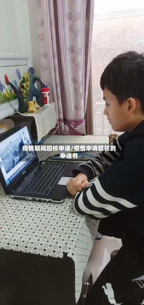 疫情期间回校申请/疫情申请回校的申请书-第2张图片