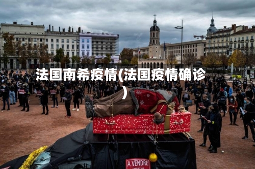 法国南希疫情(法国疫情确诊)-第2张图片