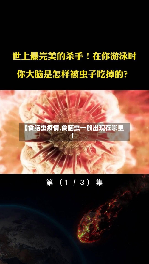 【食脑虫疫情,食脑虫一般出现在哪里】-第2张图片