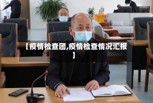 【疫情检查团,疫情检查情况汇报】-第2张图片