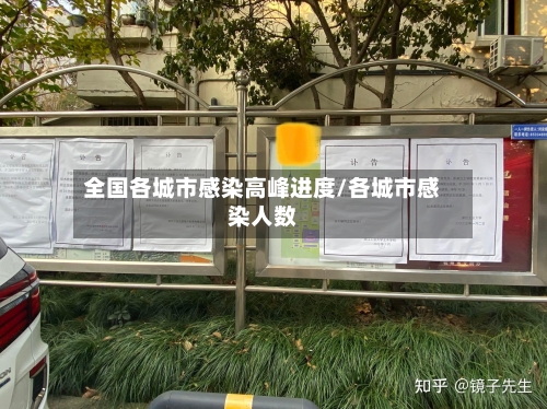 全国各城市感染高峰进度/各城市感染人数-第2张图片