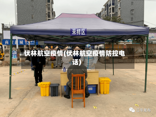 伏林航空疫情(伏林航空疫情防控电话)-第2张图片