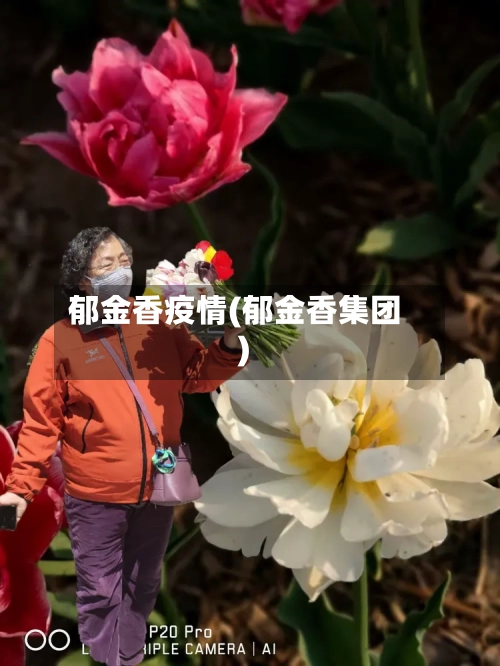 郁金香疫情(郁金香集团)