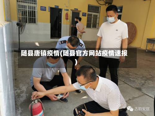 随县唐镇疫情(随县官方网站疫情速报)-第3张图片