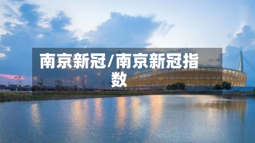 南京新冠/南京新冠指数-第2张图片
