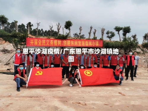 恩平沙湖疫情/广东恩平市沙湖镇地图-第2张图片