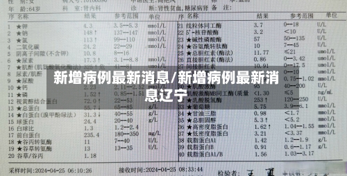 新增病例最新消息/新增病例最新消息辽宁-第2张图片