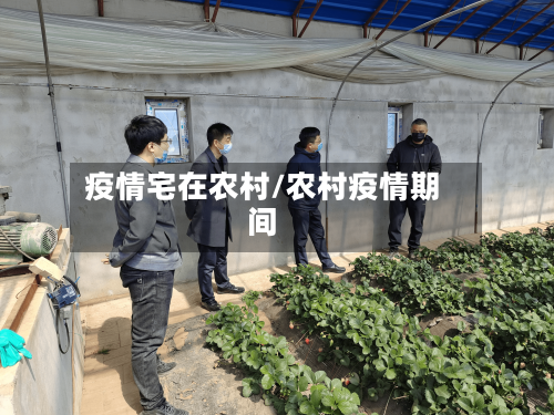 疫情宅在农村/农村疫情期间