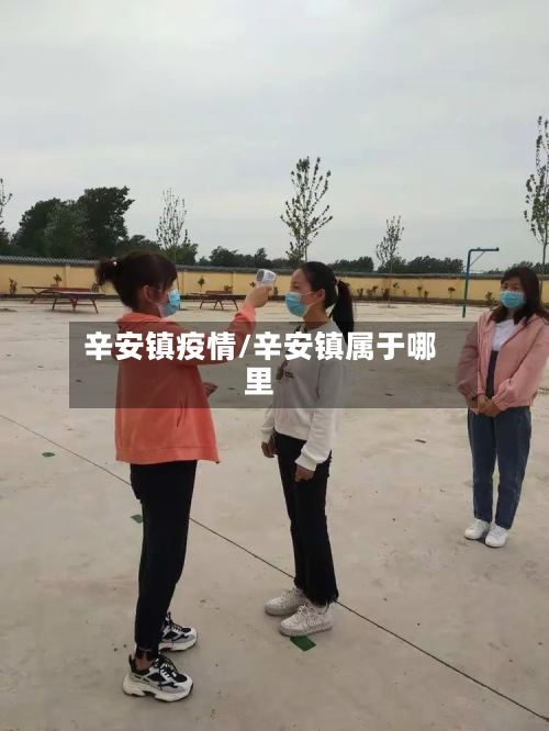 辛安镇疫情/辛安镇属于哪里-第2张图片