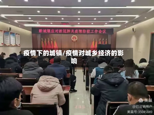 疫情下的城镇/疫情对城乡经济的影响