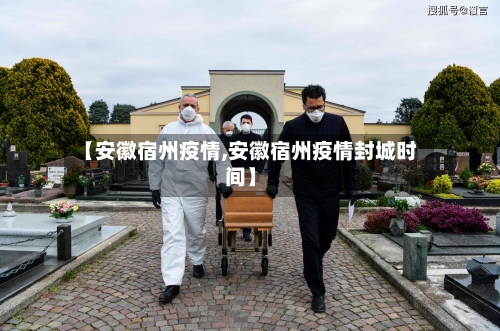 【安徽宿州疫情,安徽宿州疫情封城时间】-第3张图片