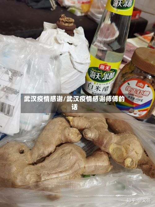 武汉疫情感谢/武汉疫情感谢师傅的话-第3张图片