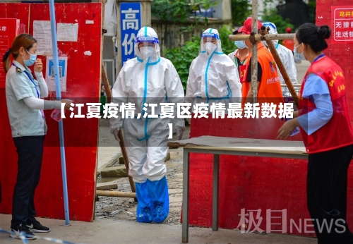 【江夏疫情,江夏区疫情最新数据】