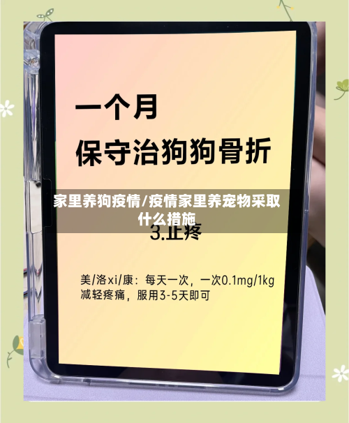 家里养狗疫情/疫情家里养宠物采取什么措施