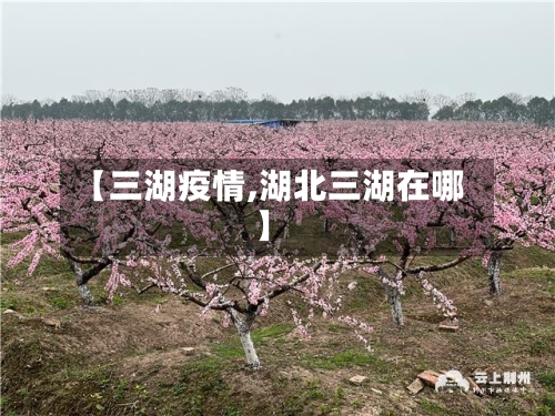 【三湖疫情,湖北三湖在哪】-第3张图片
