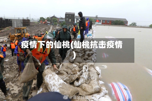 疫情下的仙桃(仙桃抗击疫情)