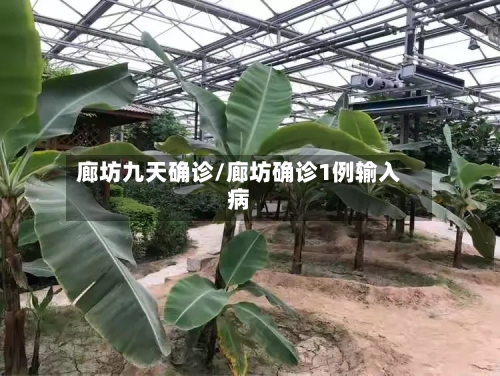 廊坊九天确诊/廊坊确诊1例输入病