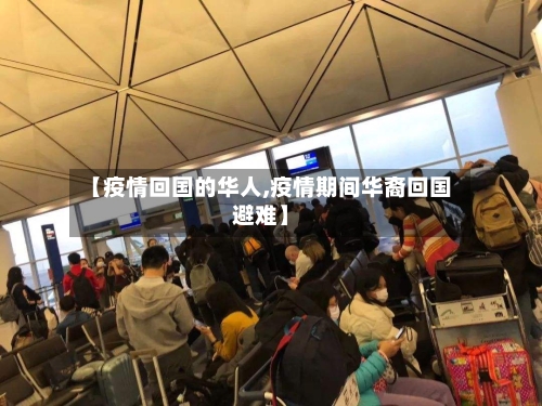 【疫情回国的华人,疫情期间华裔回国避难】