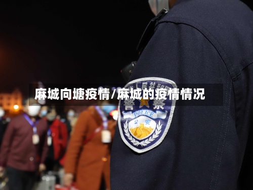 麻城向塘疫情/麻城的疫情情况-第2张图片
