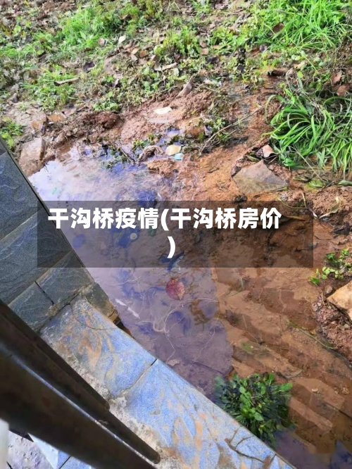 干沟桥疫情(干沟桥房价)-第3张图片