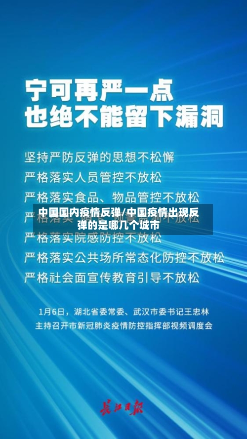 中国国内疫情反弹/中国疫情出现反弹的是哪几个城市