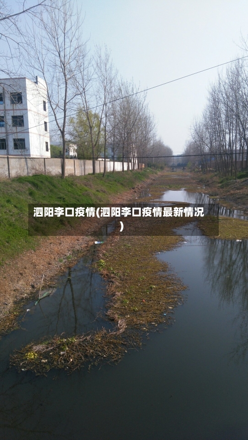 泗阳李口疫情(泗阳李口疫情最新情况)-第2张图片