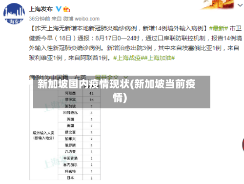 新加坡国内疫情现状(新加坡当前疫情)-第2张图片