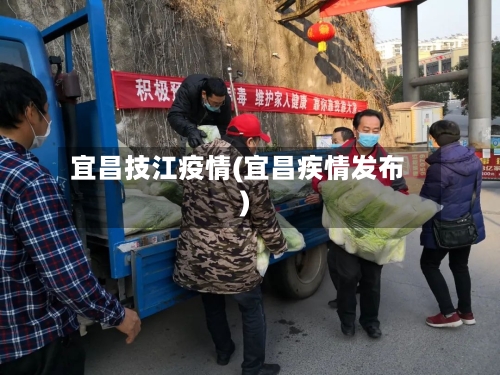 宜昌技江疫情(宜昌疾情发布)
