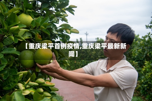 【重庆梁平首例疫情,重庆梁平最新新闻】-第2张图片