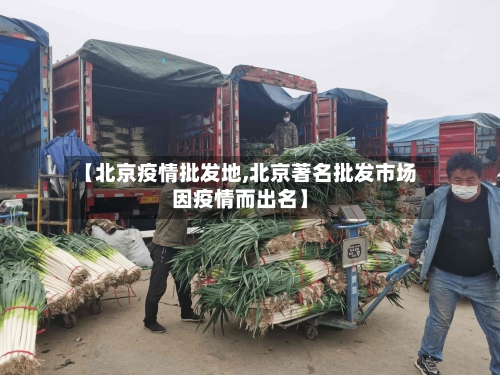【北京疫情批发地,北京著名批发市场因疫情而出名】-第3张图片