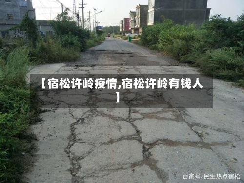 【宿松许岭疫情,宿松许岭有钱人】