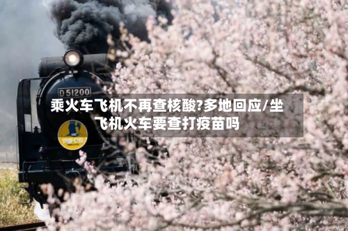 乘火车飞机不再查核酸?多地回应/坐飞机火车要查打疫苗吗
