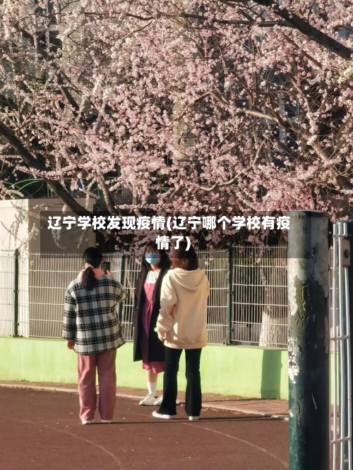 辽宁学校发现疫情(辽宁哪个学校有疫情了)-第3张图片