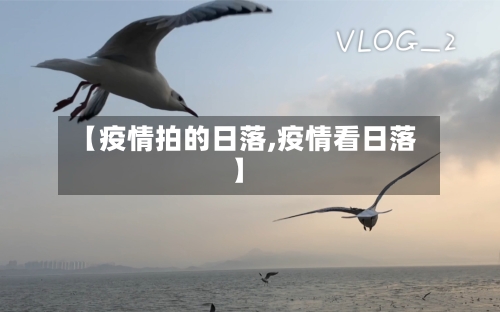 【疫情拍的日落,疫情看日落】