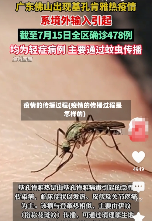 疫情的传播过程(疫情的传播过程是怎样的)