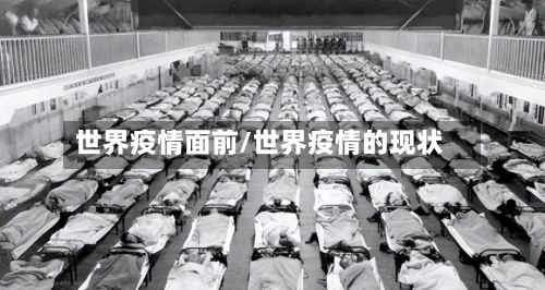 世界疫情面前/世界疫情的现状-第2张图片