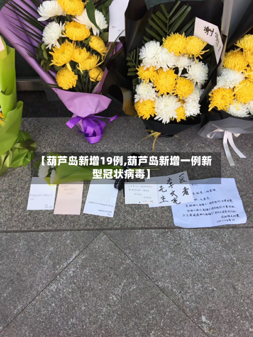 【葫芦岛新增19例,葫芦岛新增一例新型冠状病毒】