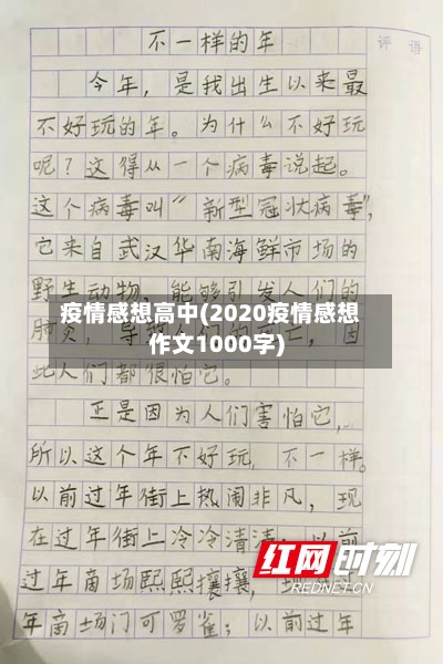 疫情感想高中(2020疫情感想作文1000字)
