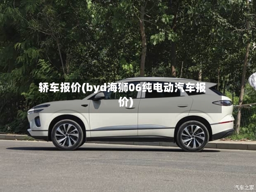轿车报价(byd海狮06纯电动汽车报价)
