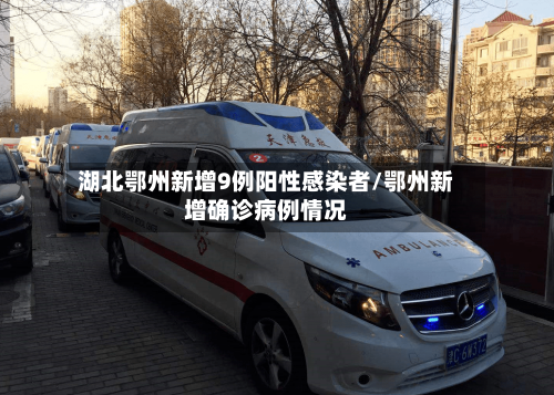 湖北鄂州新增9例阳性感染者/鄂州新增确诊病例情况