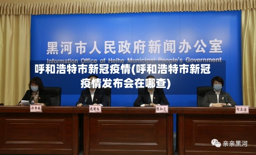 呼和浩特市新冠疫情(呼和浩特市新冠疫情发布会在哪查)