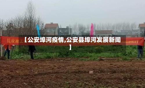 【公安埠河疫情,公安县埠河发展新闻】-第3张图片