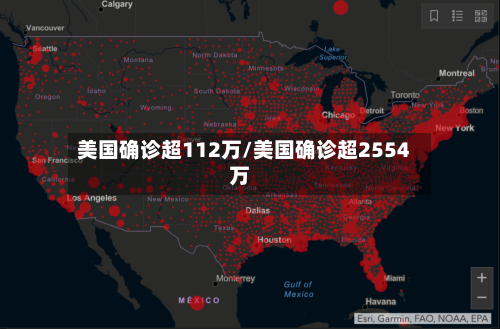 美国确诊超112万/美国确诊超2554万
