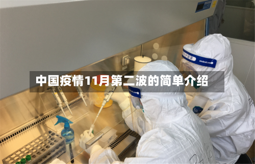 中国疫情11月第二波的简单介绍-第2张图片