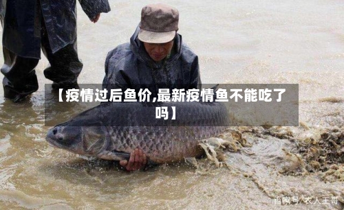 【疫情过后鱼价,最新疫情鱼不能吃了吗】-第3张图片