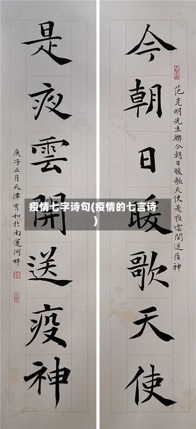 疫情七字诗句(疫情的七言诗)-第2张图片