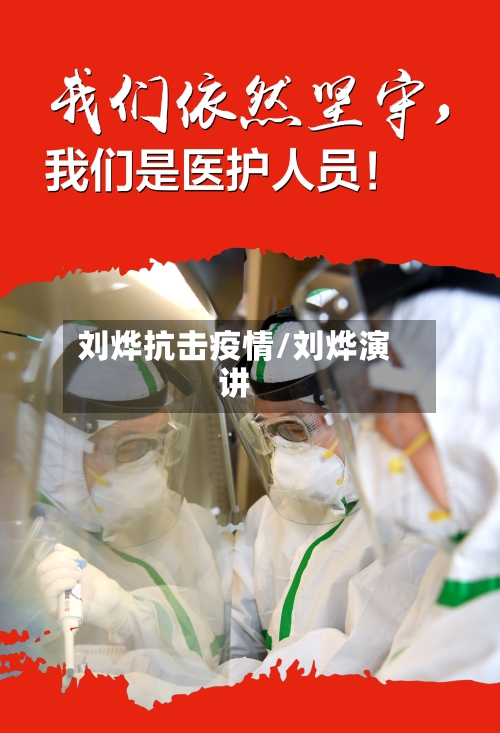 刘烨抗击疫情/刘烨演讲-第3张图片