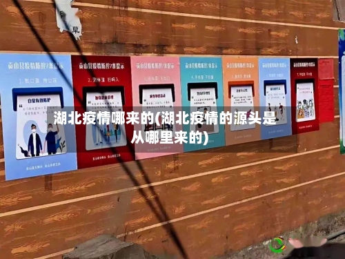 湖北疫情哪来的(湖北疫情的源头是从哪里来的)-第2张图片