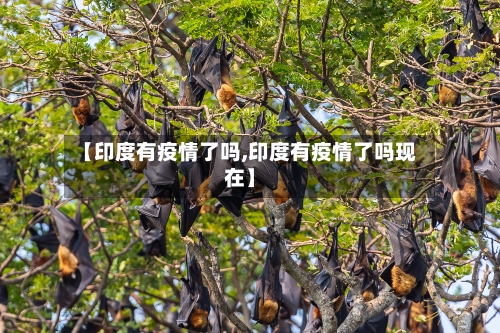 【印度有疫情了吗,印度有疫情了吗现在】-第3张图片